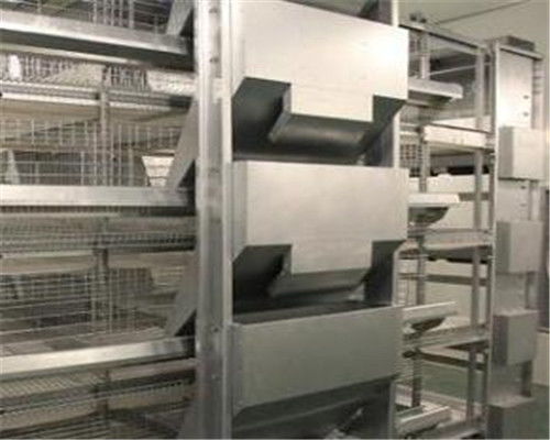 专业阶梯式养鸡设备生产厂 以品质铸造与除尘技术引领现代化养殖